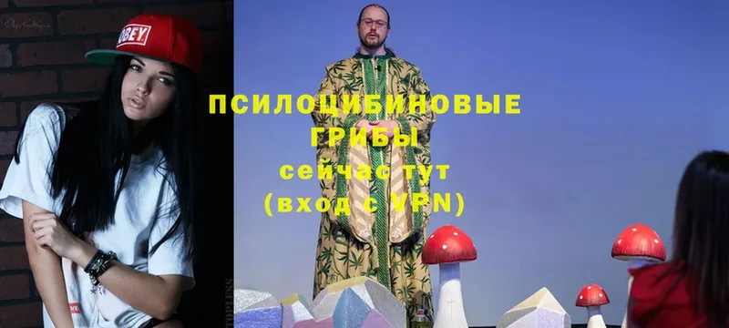 Галлюциногенные грибы Cubensis  Безенчук 